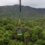 jcu daintree rainforest observatory crane