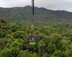 Learn more about JCU science programs jcu daintree rainforest observatory crane