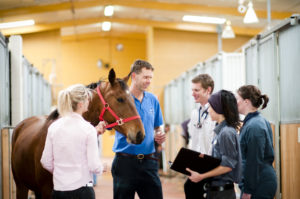 University of Melbourne Veterinary School Melbourne DVM