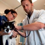 UQ veterinary science