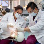 university of sydney dental student working on manikin with professor
