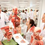 Griffith medical school