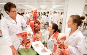 Griffith medical school