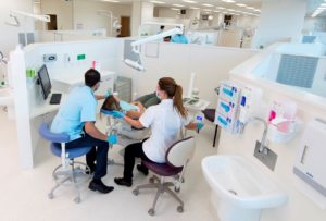 Griffith University Dental School