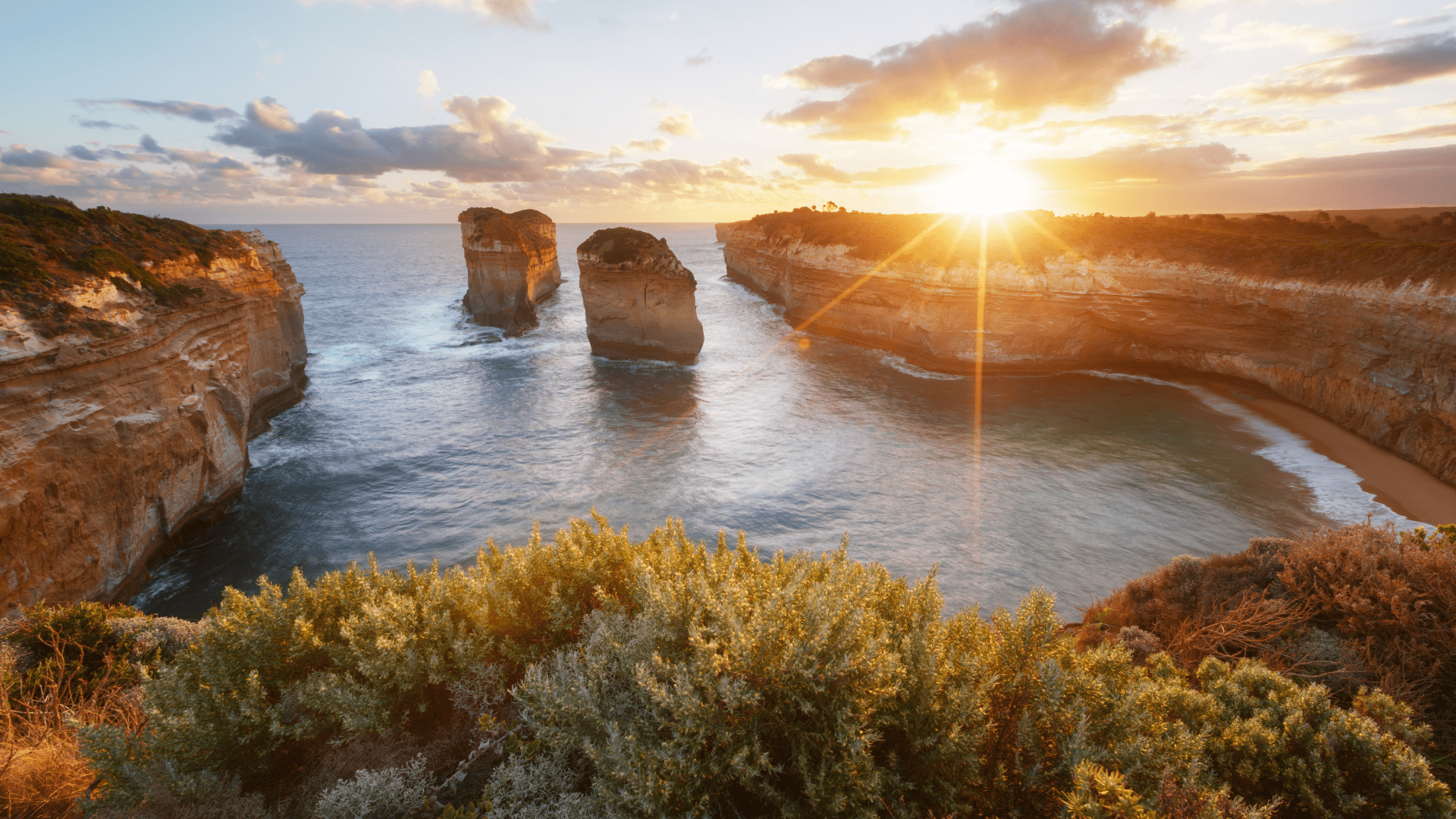 Study in Australia Fairs