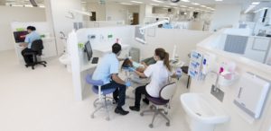 Study dentistry at Griffith University