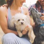 taking pets to australia