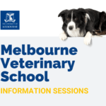 melbourne veterinary school