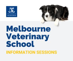 melbourne veterinary school