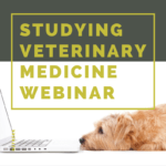 veterinary medicine