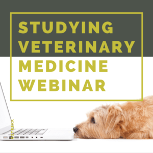 veterinary medicine
