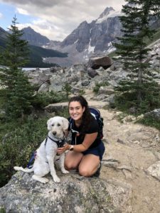 Learn more about the Melbourne DVM melbourne dvm student and oztrekk ambassador hannah hiking with dog