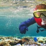scuba diver looking at fish