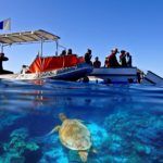 jcu research boat on the great barrier reef with sea turtle