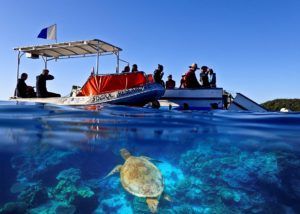 Discover more about your marine sciences and marine biology study options at JCU! JCU research boat with sea turtle great barrier reef