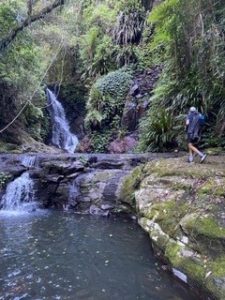 hiking in Lamington National Park, near Brisbane